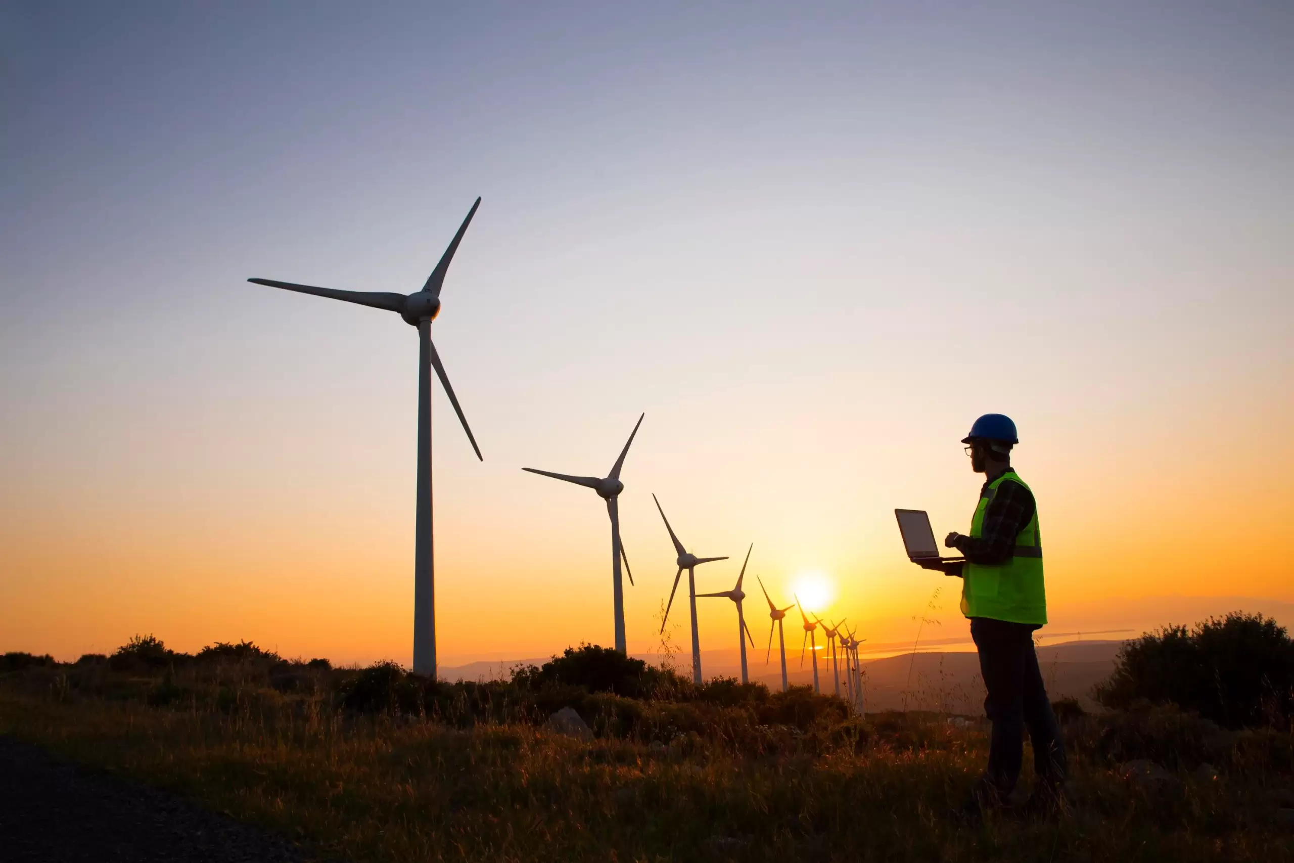 Top renewable energy services